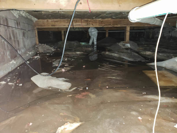  Kenmore, NY Water damage restoration Pros